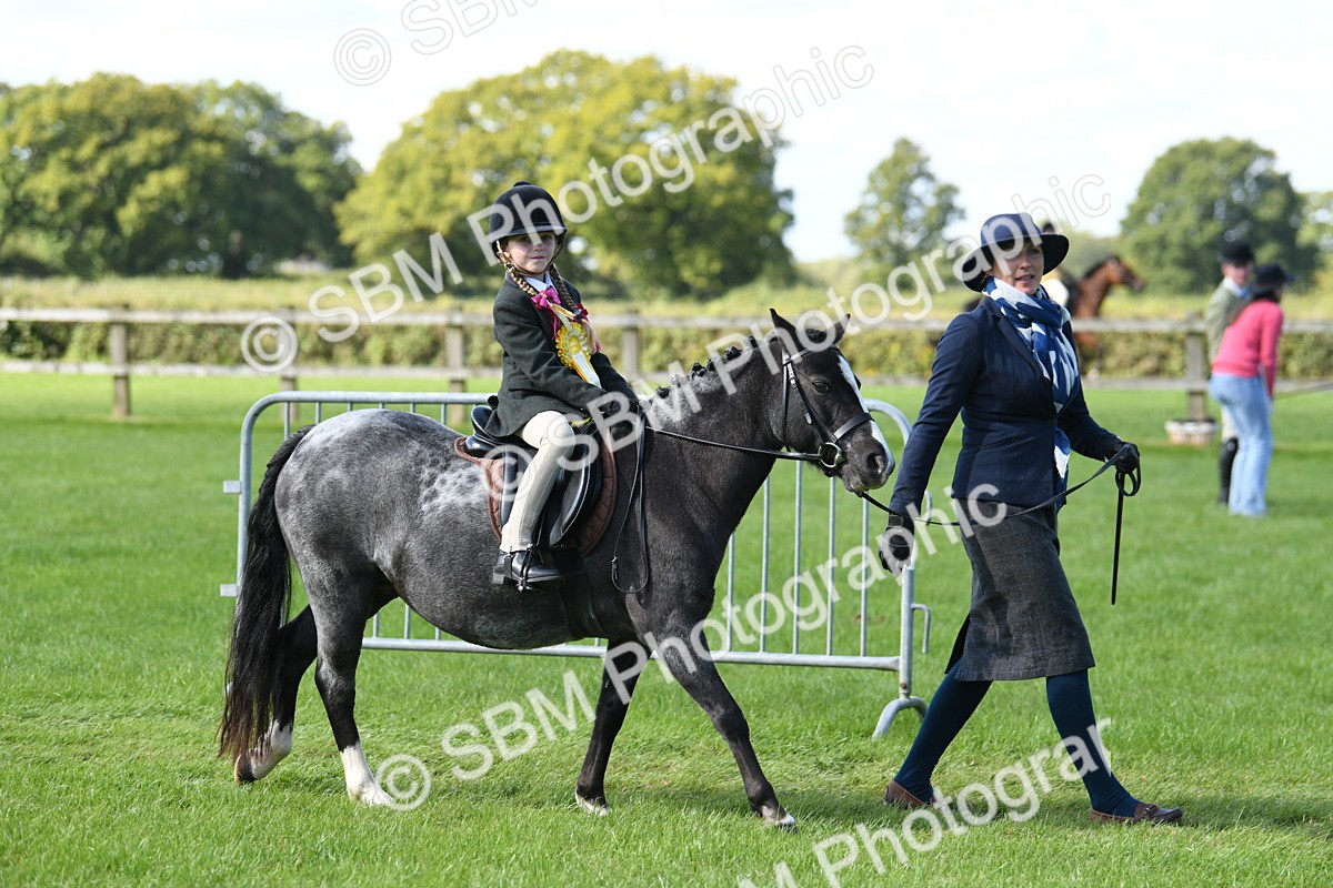 SBM_39728 - S18 - Novice & Newcomers Lead Rein Pony
