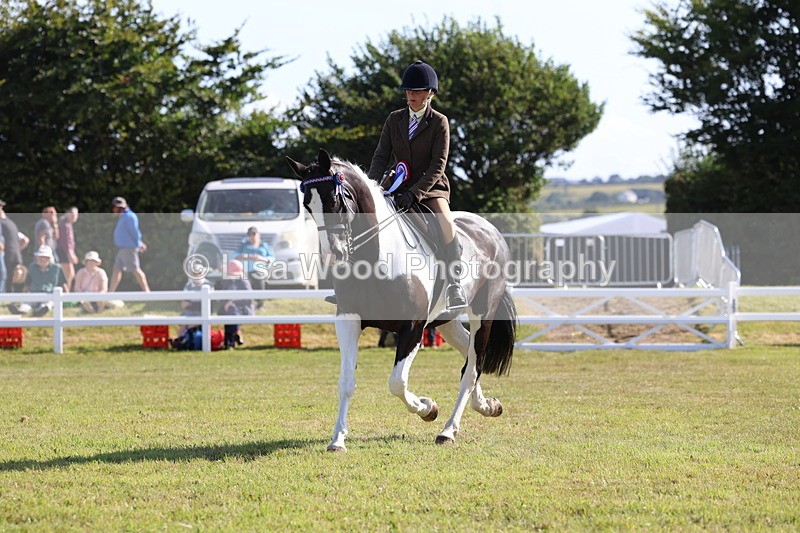 3E7A4080 - Supreme Championship