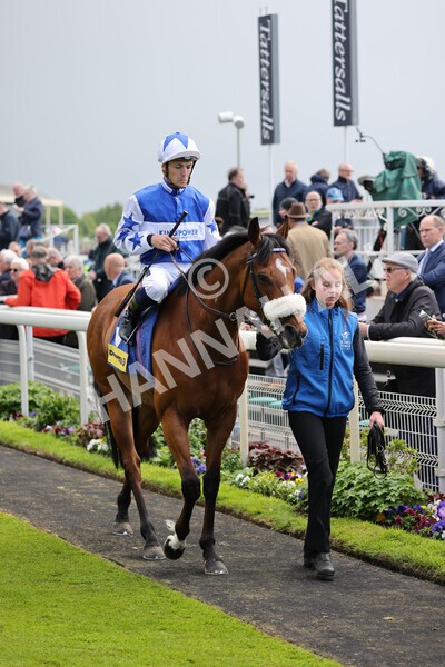 yr11052022r2-19 - Race 2 2.25pm Churchill Tyres Stakes