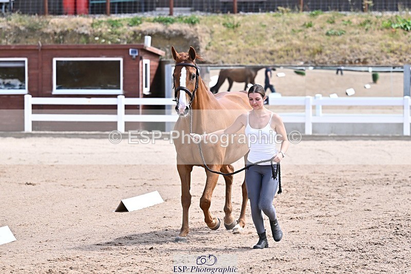 250716-124815-00170 - Trot Up 12.30 to 1.30