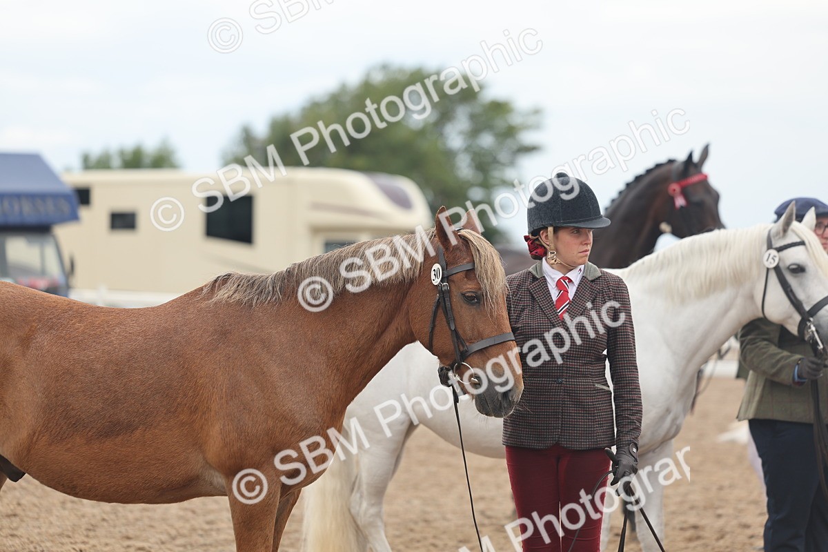 SBM_07804 - Class 27 - IH Competition Horse/Pony