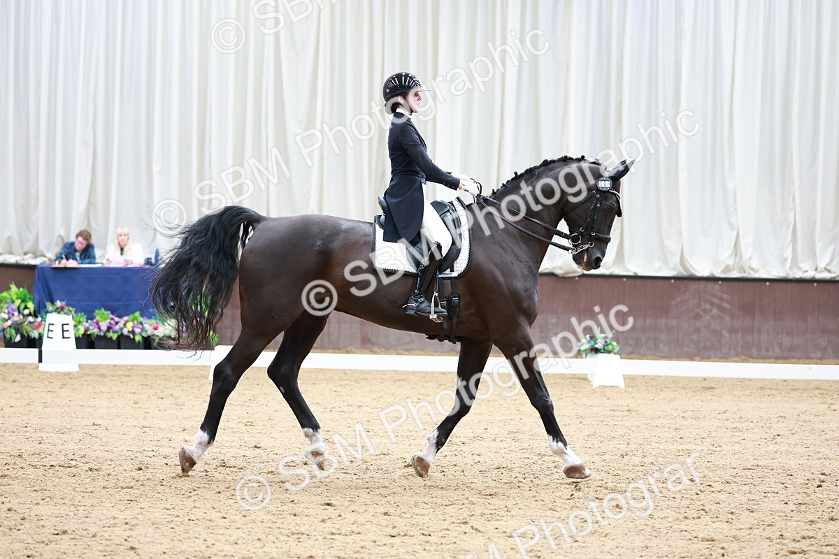 SBM_018123 - Class 15 - FEI Junior
