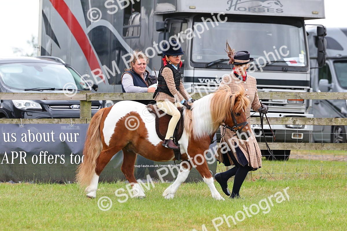 SBM_08233 - Class 42-43 - LIHS BSPS Heritage Working Sports Pony