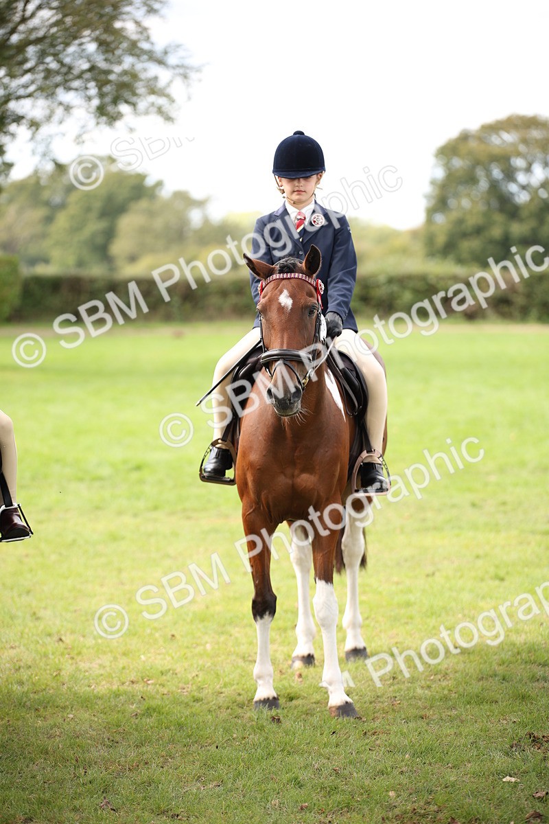 SBM_42377 - S13 - Pony Club Pony