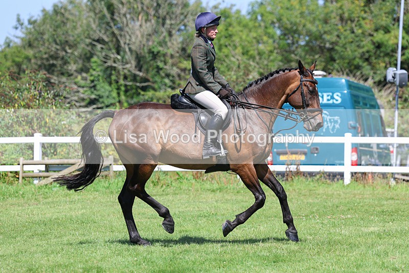 3E7A8962 - Class 6: Open Working Horse