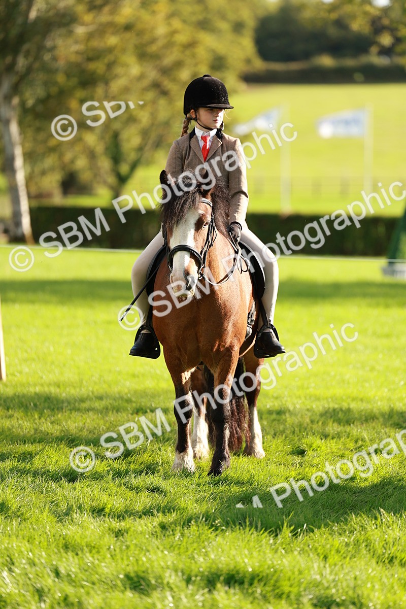 SBM_28676 - S7 - Novice & Newcomer Ridden Pony