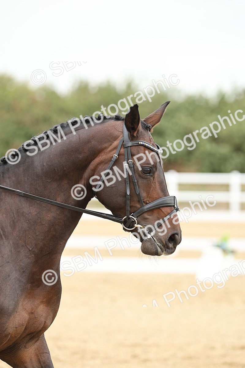 SBM_006975 - Class 21 - Medium 5 Bronze - 10.04-10.52