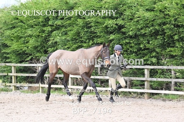 BPP_7194 - RING 1  (RIDDEN HORSES / IN HAND / VETERAN ETC)