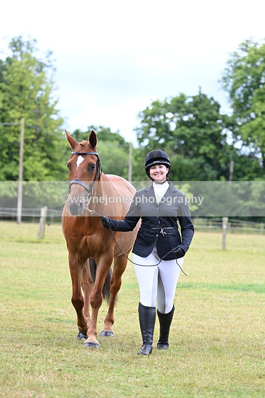 WJ7_6962 - Class 5a Most Handsome Gelding in Hand