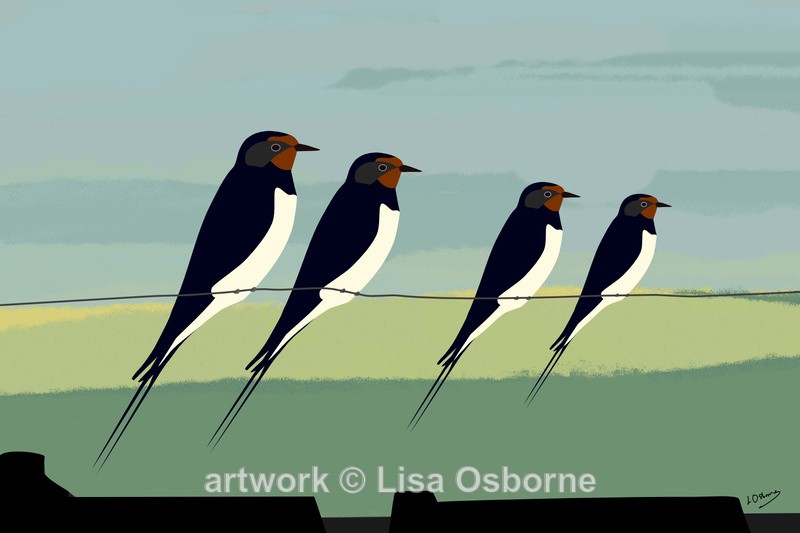 Swallows - DIGITAL ARTWORK