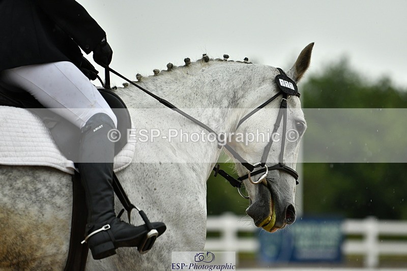 230708A-122748-02793 - Prelim 13