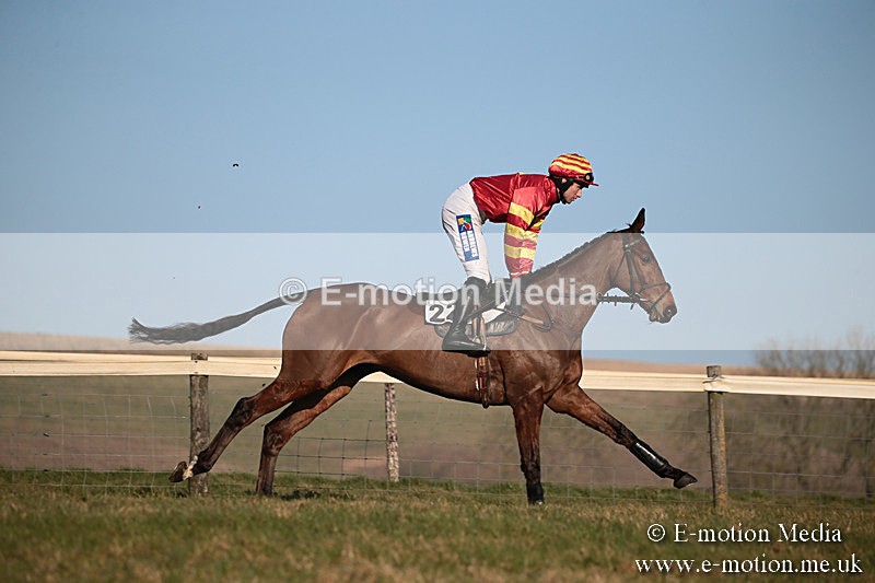 PtP 230219 486 - Vine & Craven Point-To-Point - Barbury 23/02/19