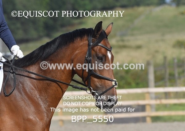 BPP_5550 - MY QUEST OPEN PRELIM TEST 1 + 2