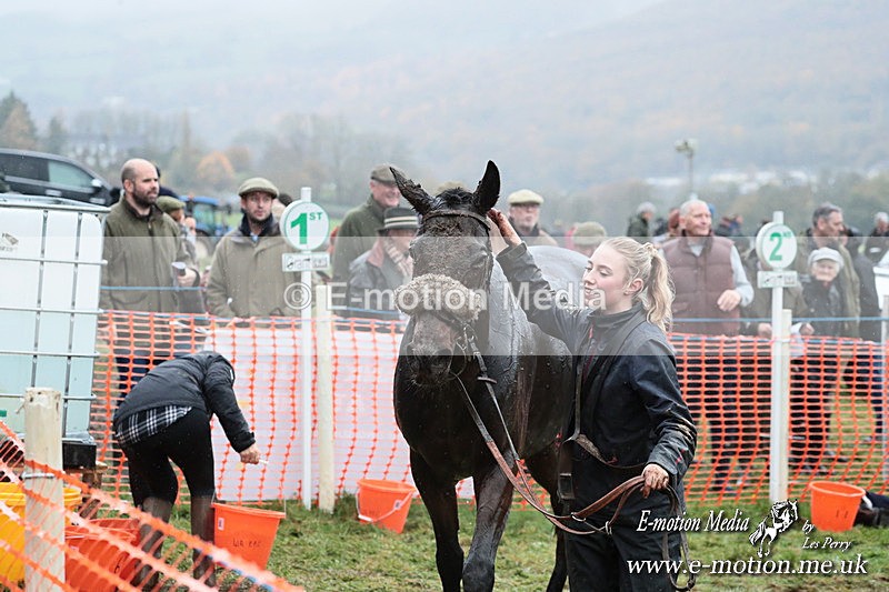 PtP 091125  1181 - Point-to-Point Wales Area Club Lower Machen, Gwent 09/11/25