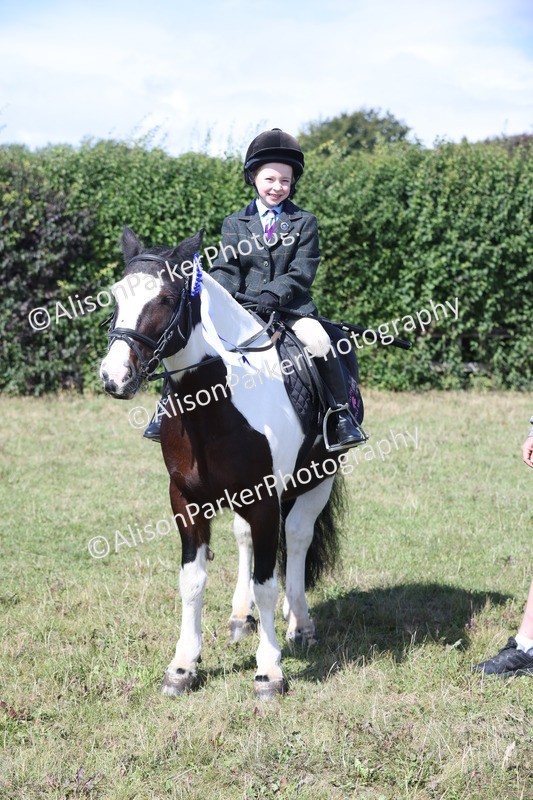 20250831-2554 - Class 16 - Family Pony