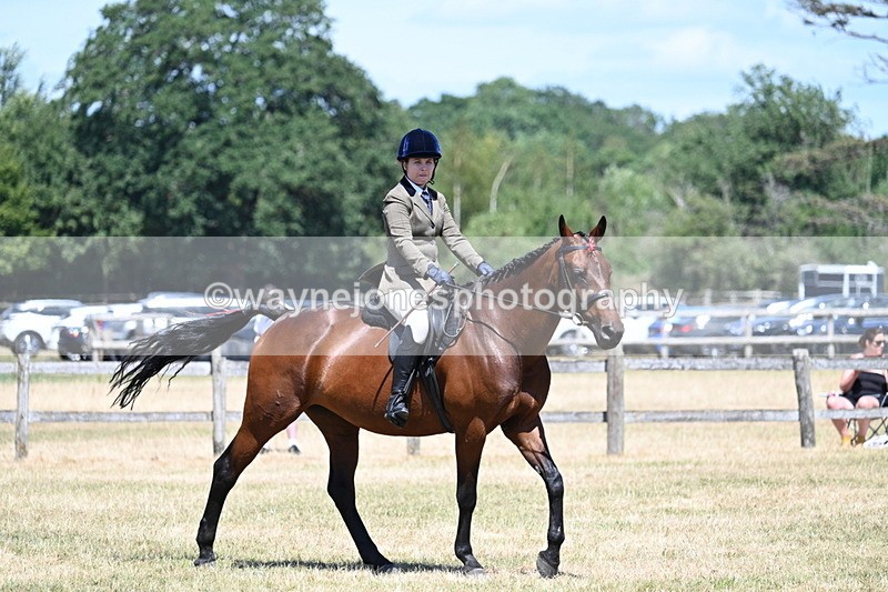 WJ7_3034 - Class 7 Riding Club Show Horse