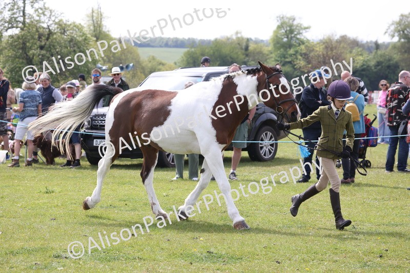 20260426-3343 - Class 27 - Coloured Horses and Ponies