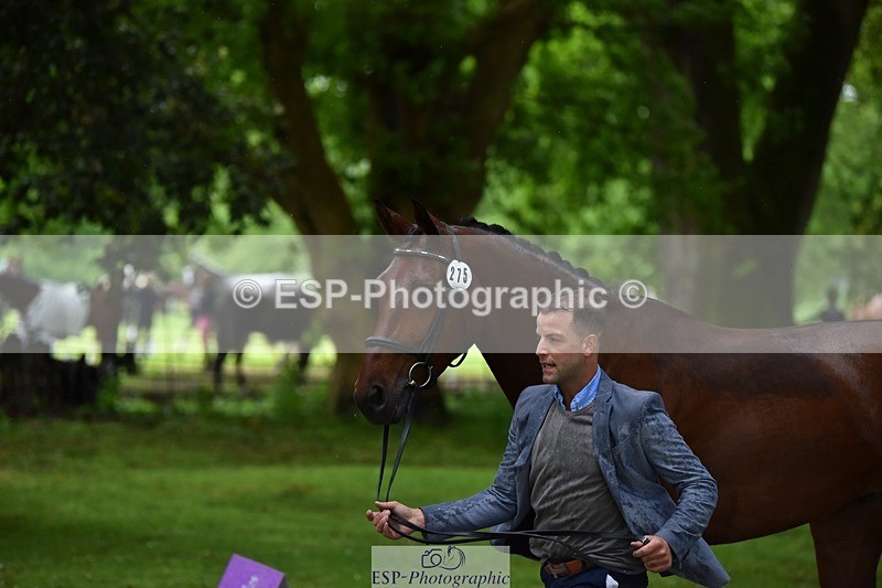 240522-162234-00872 - 275-SFS_ARRANO-Roberto_Scalisi