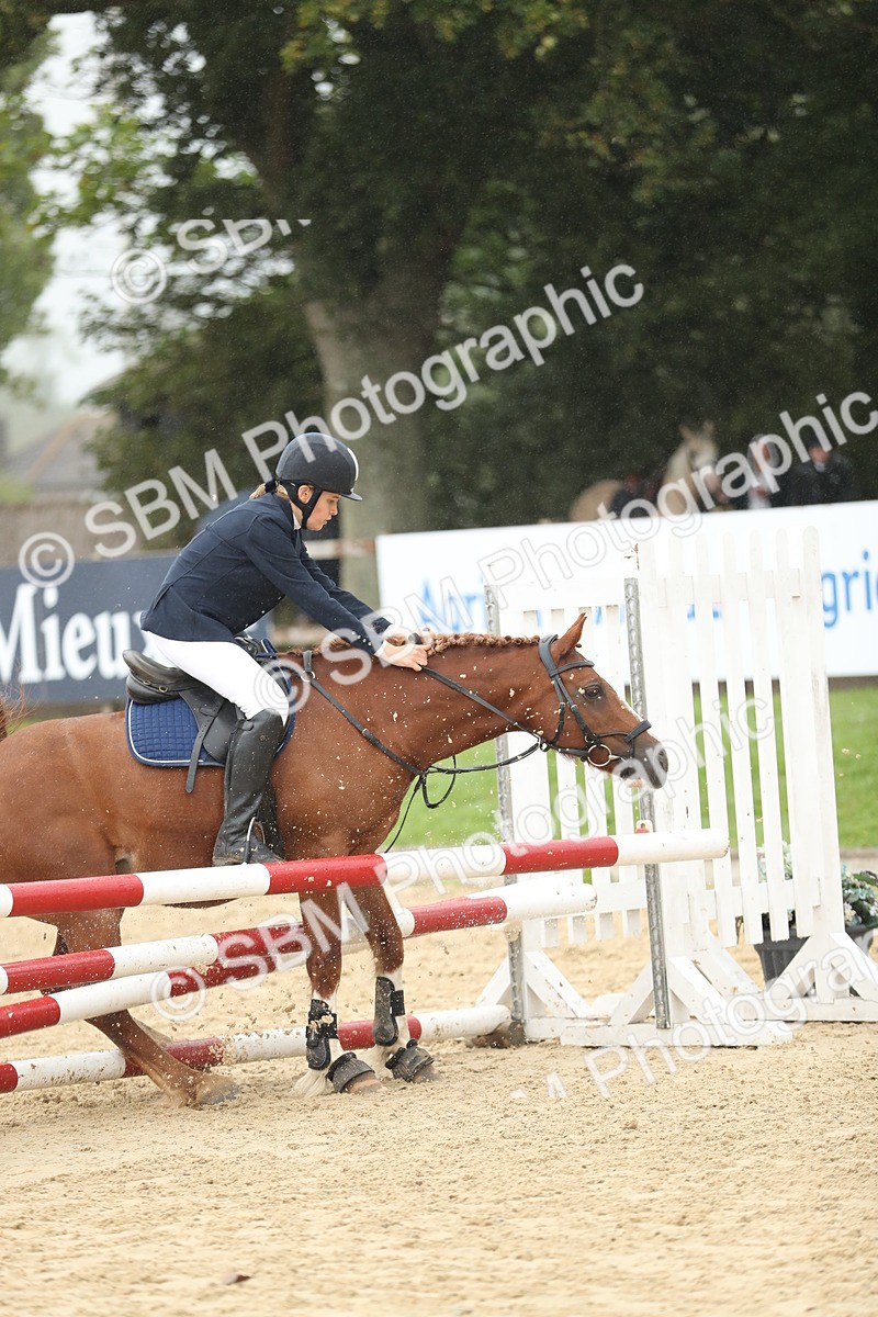 SBM_73731 - J16 - Junior Pony 75cm Championship