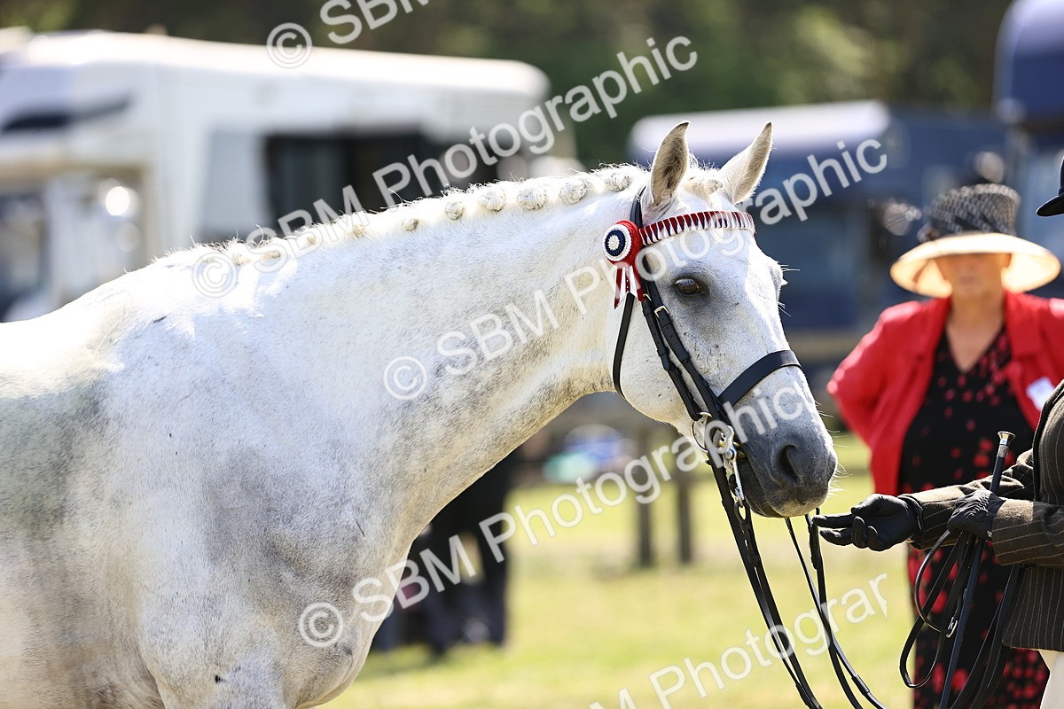 SBM_18043 - Class 81-83 - TSR Ridden Amateur of the Year - Horses