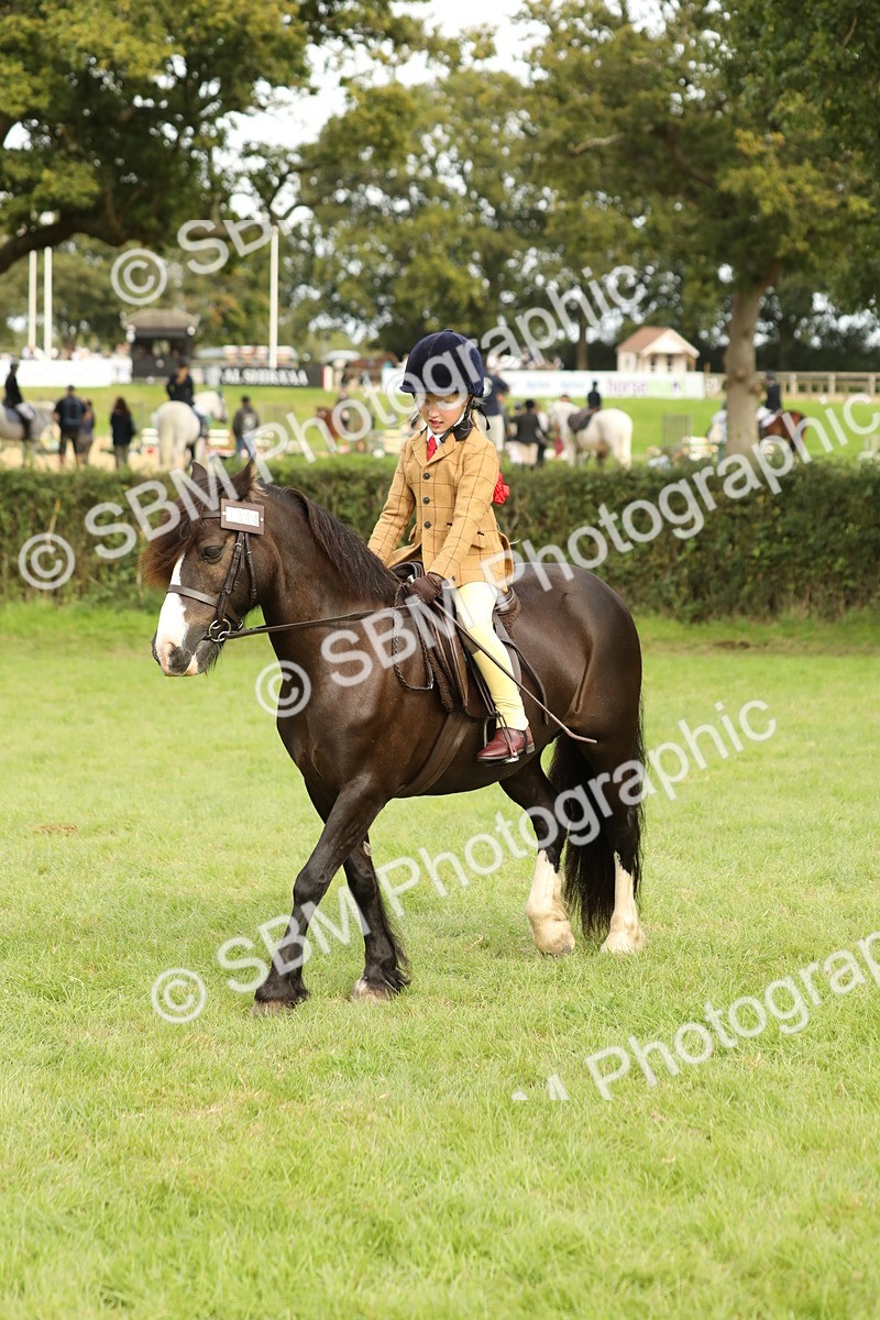 SBM_71547 - S41 - Ridden Equitation (Best Rider)