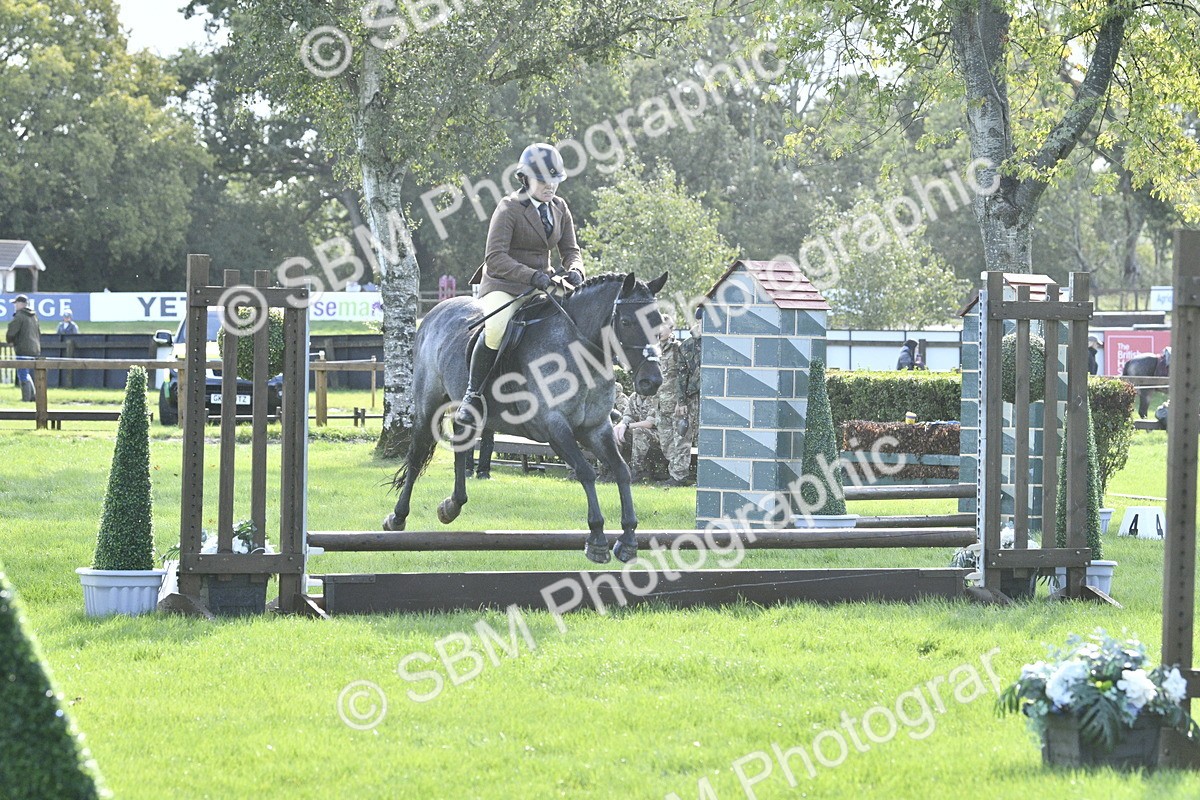SBM_38157 - S31 - Novice & Newcomer Working Hunter Pony
