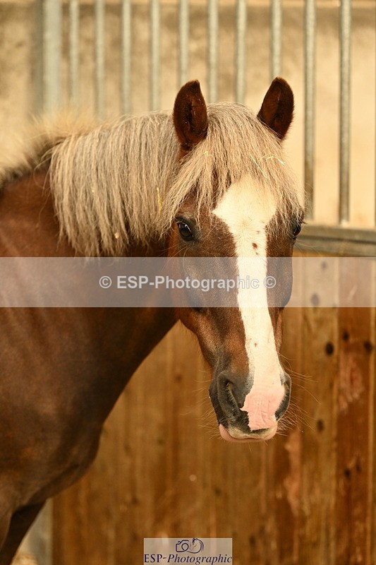 240809A-084737-00013 - Stable Shots