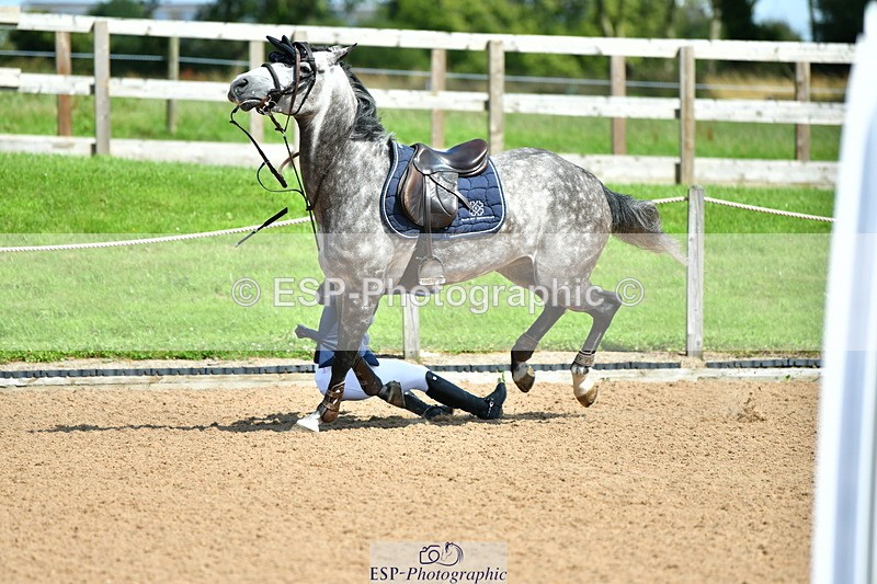 230723A-154054-13471 - Cls 36, 7 Yr Olds 1.30m