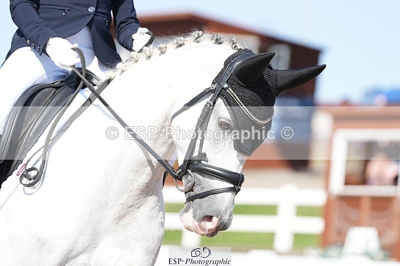 250817-160555-11842 - 207-Esme.LangBrouwershaven.Silvia