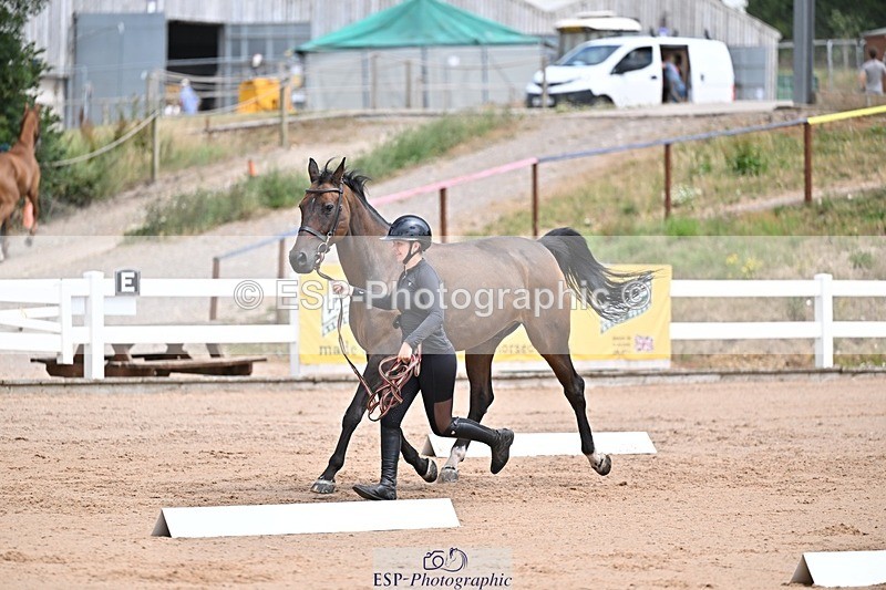 250716-130931-00367 - Trot Up 12.30 to 1.30