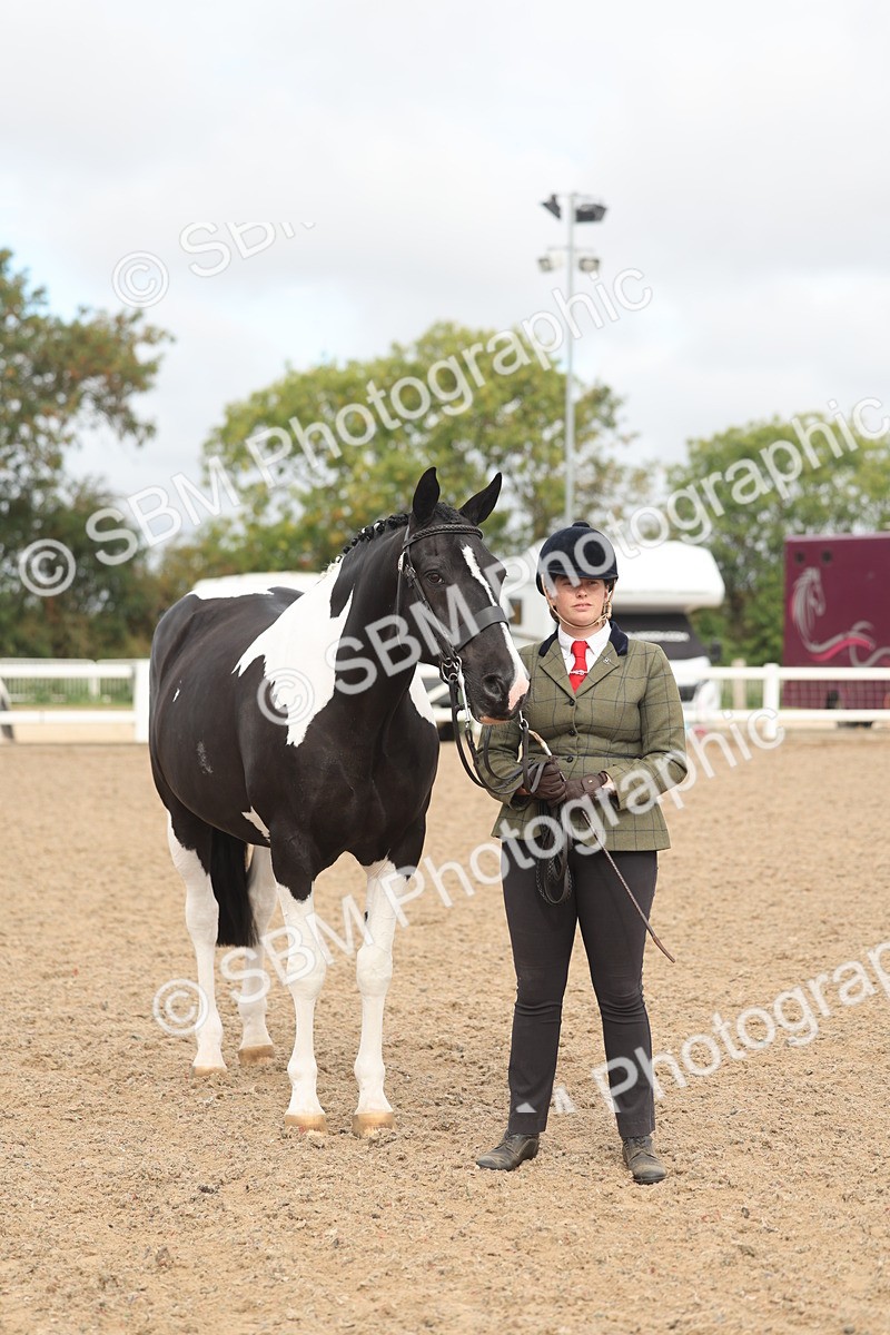 SBM_02095 - Class 15 - IH Coloured