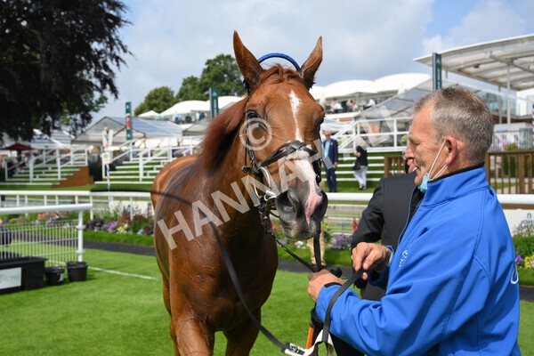 yr10072021r3-39 - Race 3: 2.55pm John Smith's Stayers Stakes
