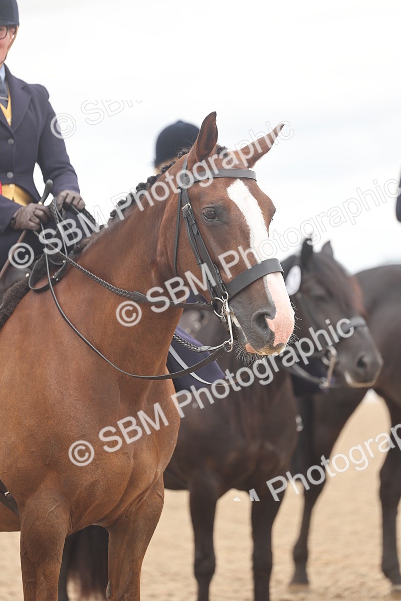 SBM_06385 - Class 22 - SSA - Equitation