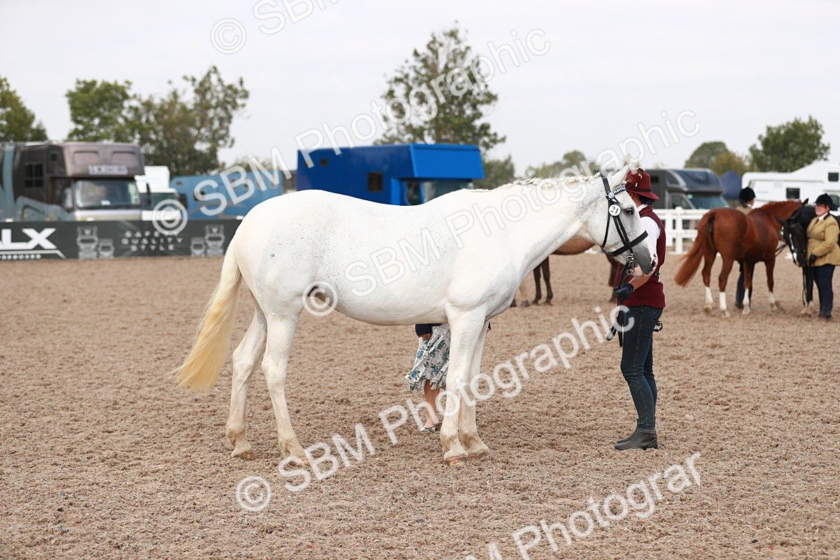 SBM_13220 - Class 208 IH Veteran Horse