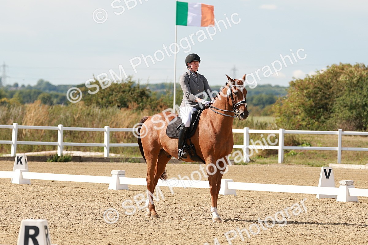 SBM_002536 - Class 11 - Medium 6