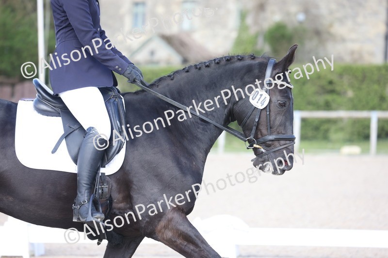 20260405-0515 - Class 6 - Elementary 6