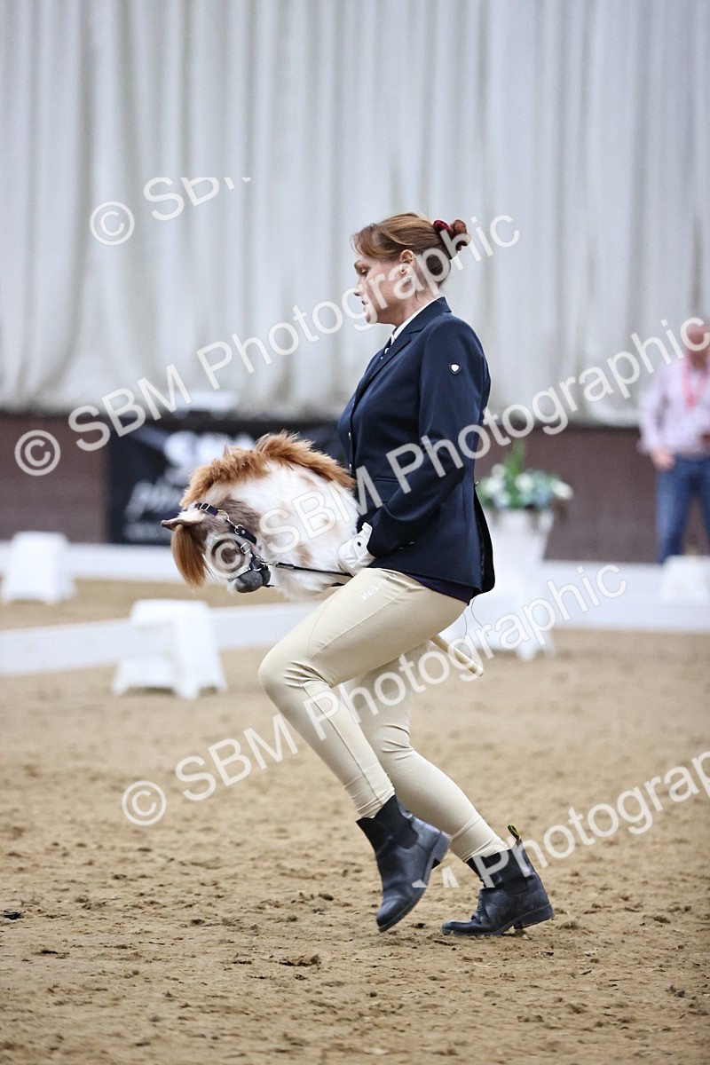 SBM_003404 - Class 13 - Dressage
