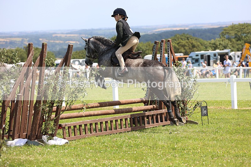 JPP_2613 - Class 21: Working Hunter 60cm