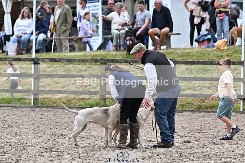 250524A-152537-12737 - East Devon Hounds