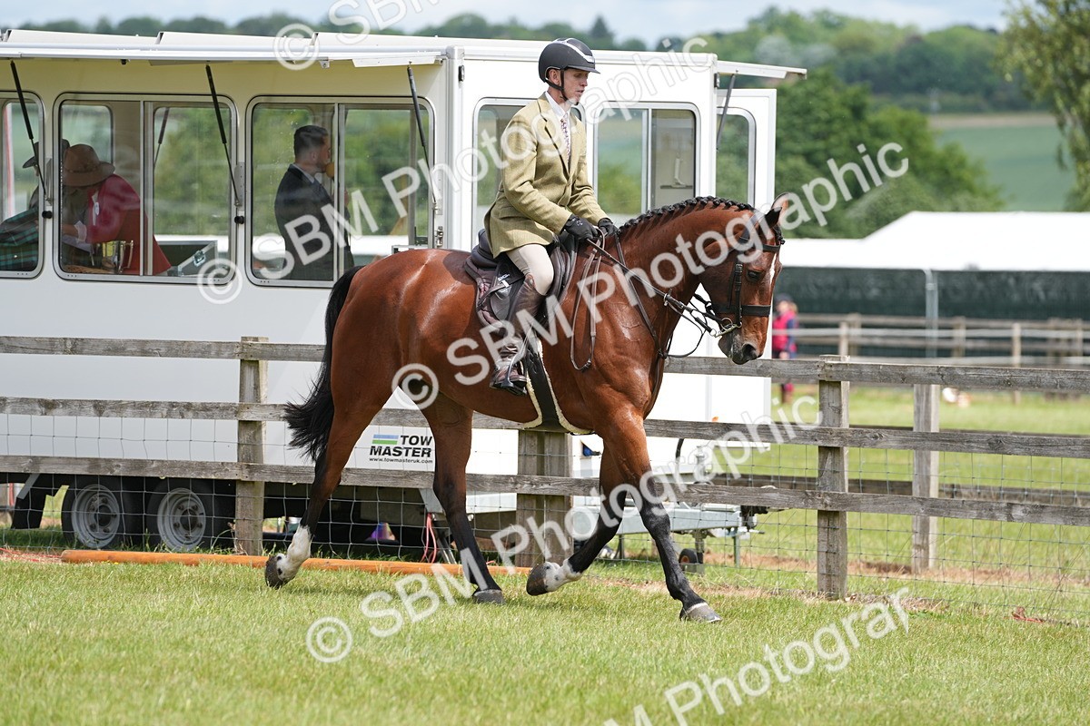 SBM_14996 - Class 100-102 - RIHS Working Hunter