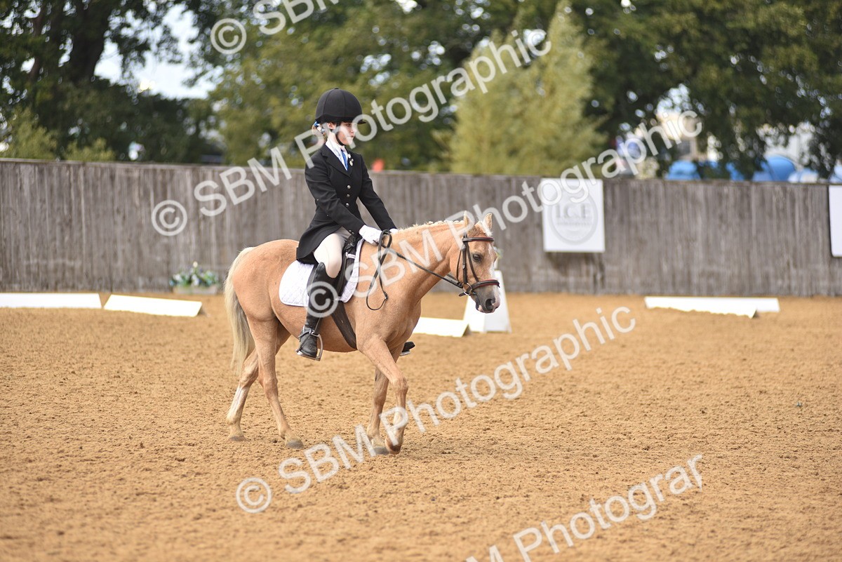 SBM_48670 - D22 - Junior Championship Intro 3
