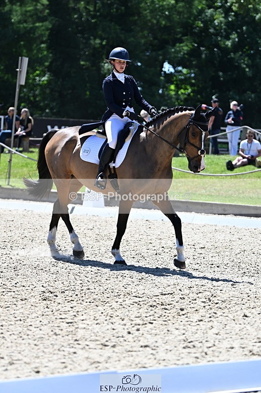 250522A-141331-04610 - C-213-Daisy.Amin-JACK.ASS