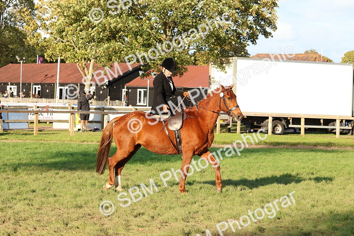 SBM_53063 - S29 - Mature Veteran Ridden