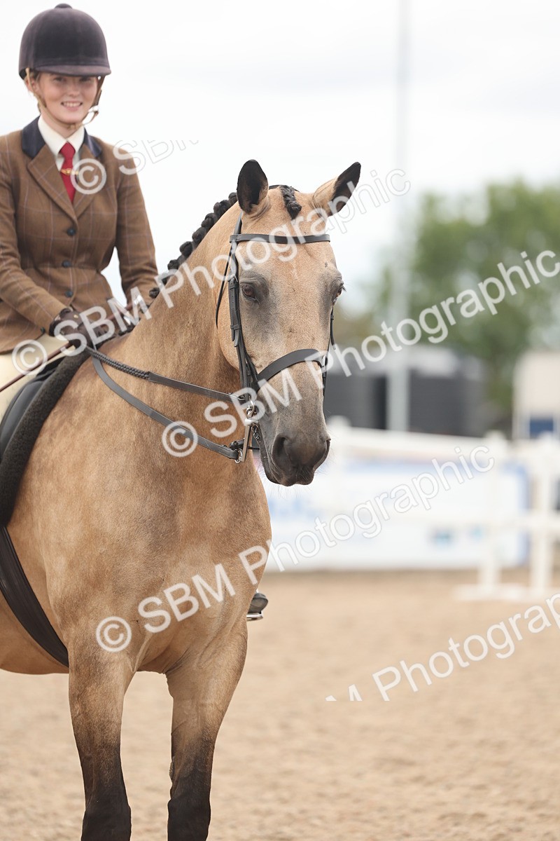 SBM_18184