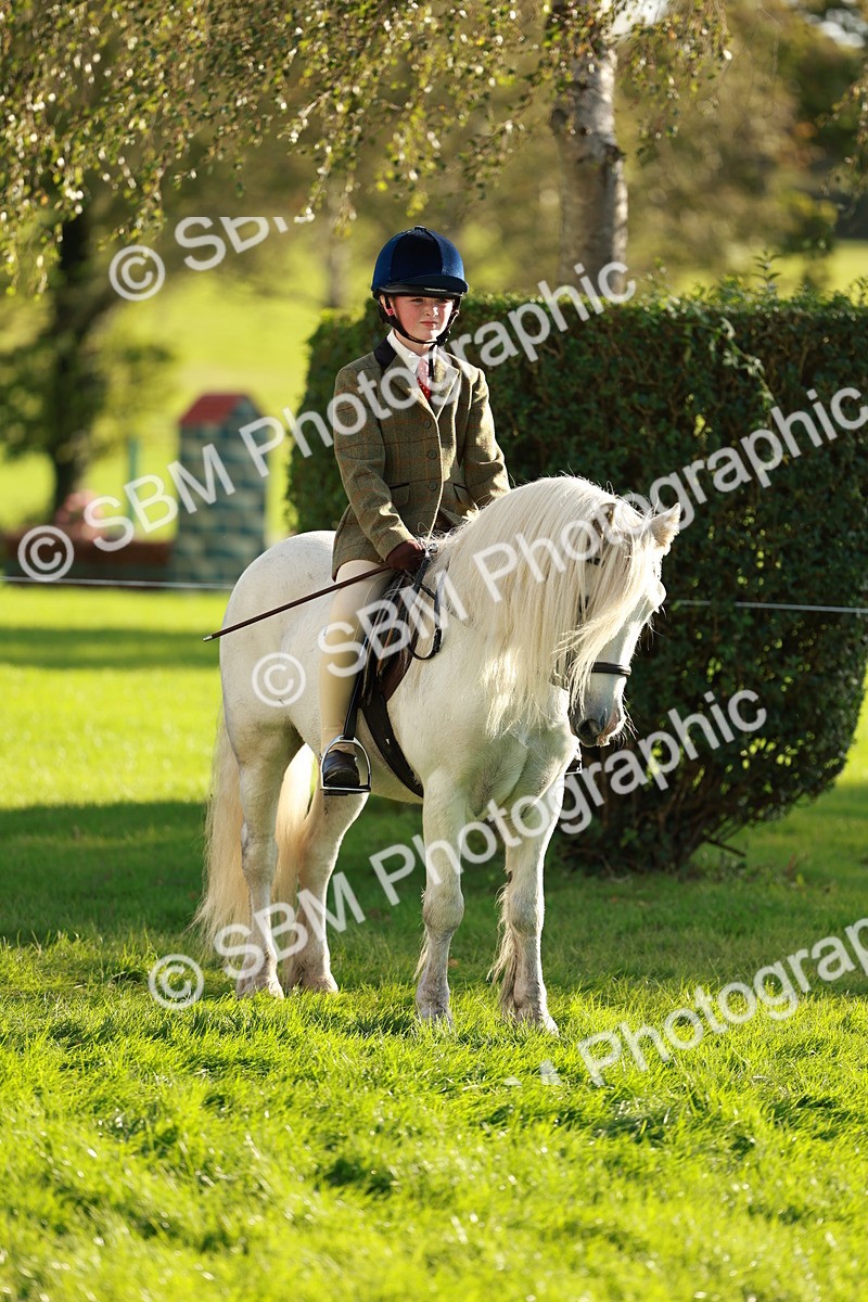 SBM_28697 - S7 - Novice & Newcomer Ridden Pony