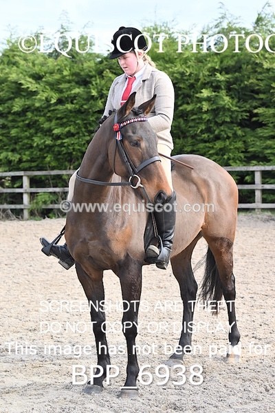BPP_6938 - RING 1  (RIDDEN HORSES / IN HAND / VETERAN ETC)