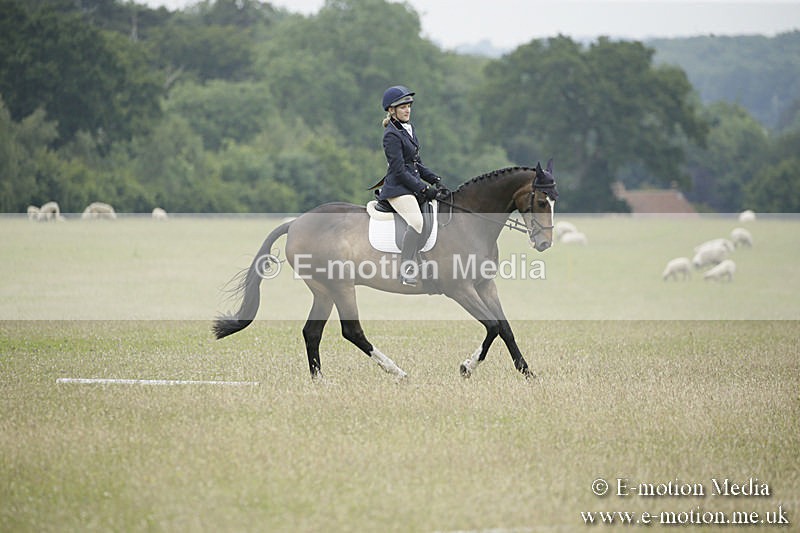 B230619-0897 - Bourne Valley Riding Club Summer Show 23/06/19