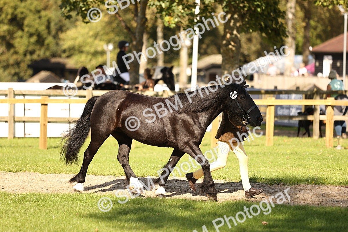 SBM_26162 - S5 - Novice & Newcomers In Hand