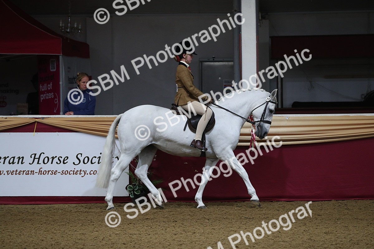 SBM_09236 - Class 101 Equitation (best rider), Junior