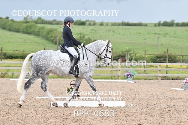 BPP_0683 - 32 Z BURGOYNE